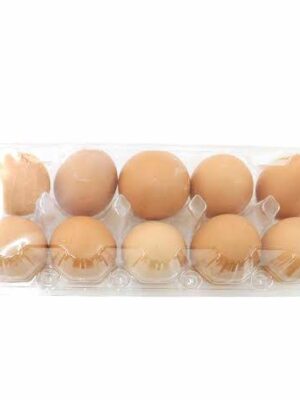 Telur Ayam