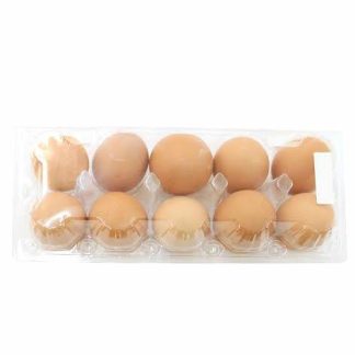 Telur Ayam